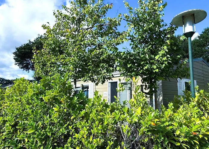 Harmony - Peace And Space בקתה *